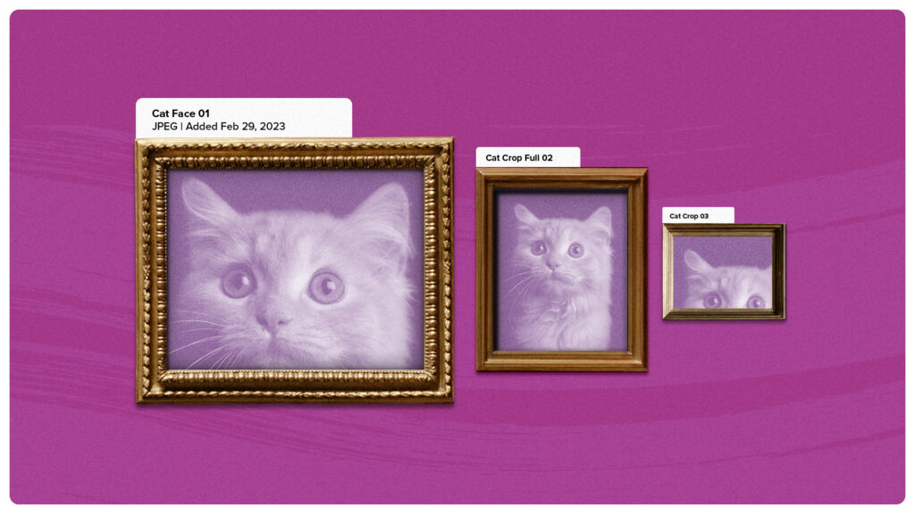 Email images in workshop internal email software
