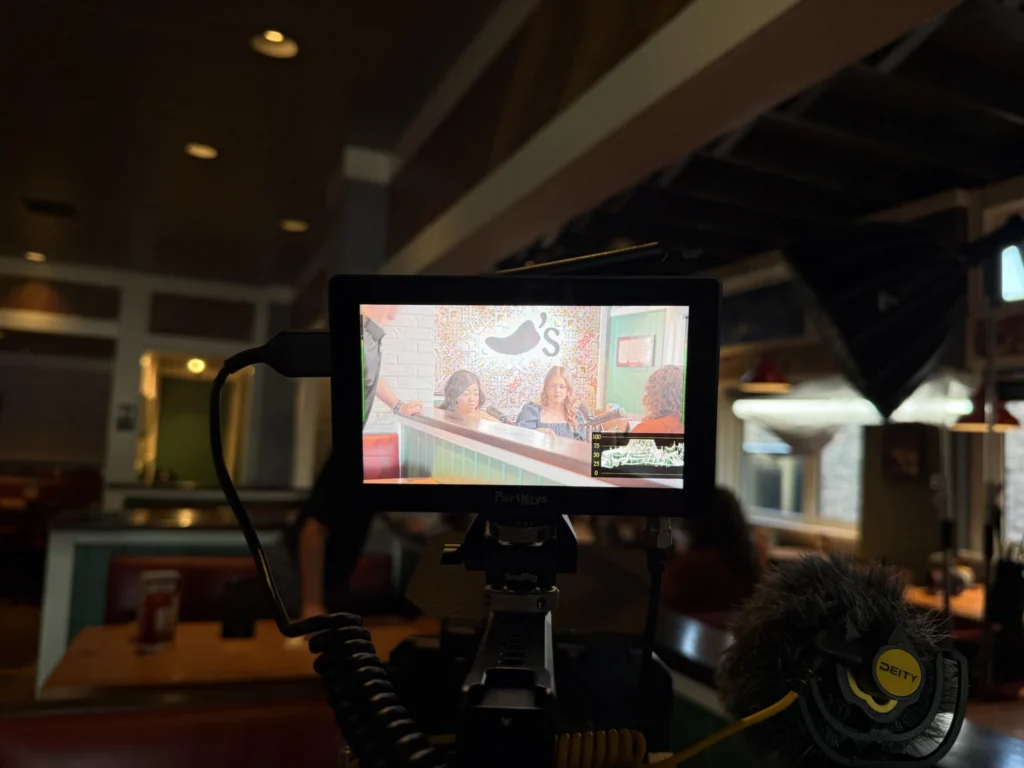 director view